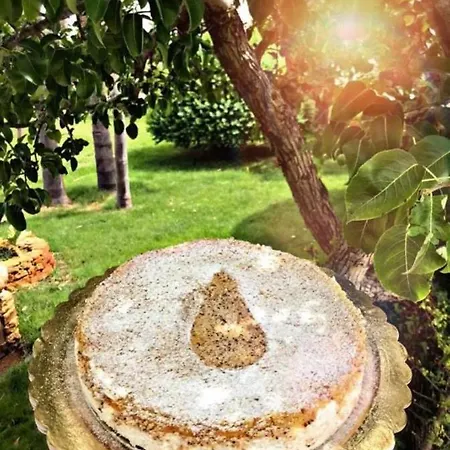 Mamma Grazia Bed & Breakfast
