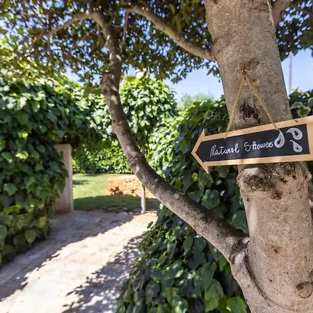 فندق مبيت وإفطار Mamma Grazia
