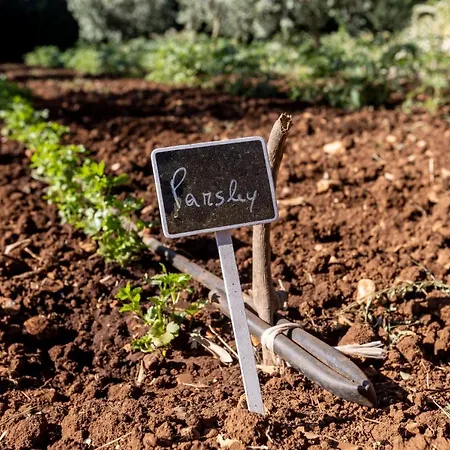 فندق مبيت وإفطار Mamma Grazia سان فيتو دي نورماني